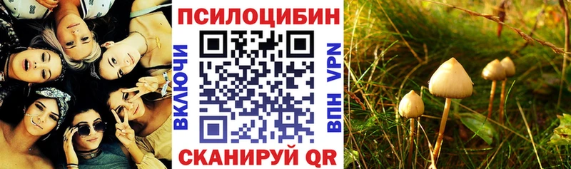 Галлюциногенные грибы Magic Shrooms  Медынь 